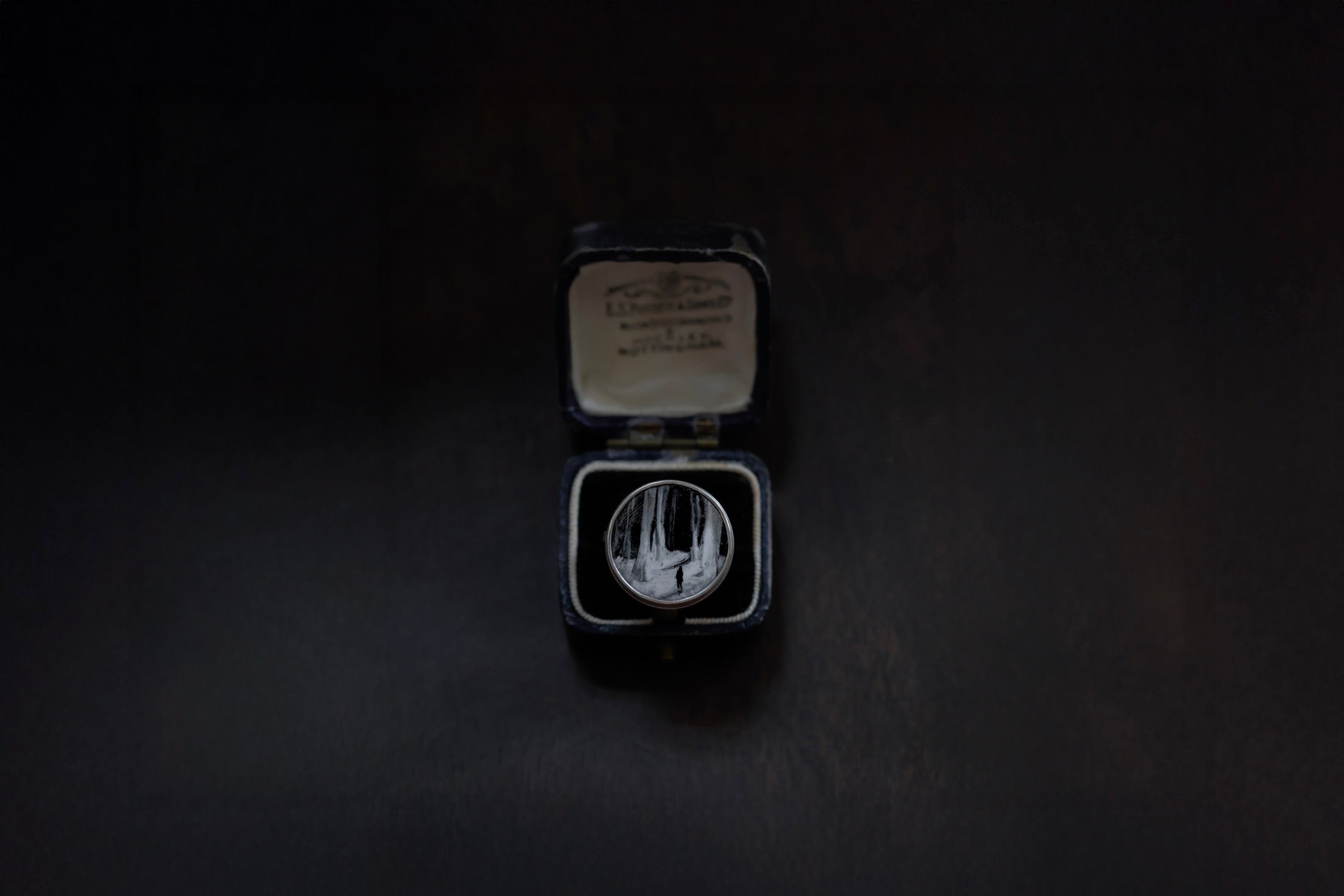 No. 2 ~ Alone in the Wood Ring {preview}