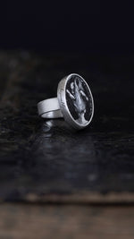 Load image into Gallery viewer, Sleepwalker in Milkweed | Ring {Size 8}

