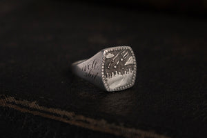 No. 25 - End of Days Sculpted Asteroid Signet Ring | Size 10