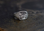 Load image into Gallery viewer, No. 28 ~ Well Shit – Sculpted Signet Ring {size 8.5}
